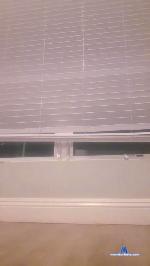 Sacboi05 cam4 livecam show performer room profile