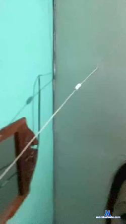 arianad3 cam4 live cam performer profile
