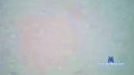 mehmet1681 cam4 livecam show performer room profile