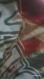 pikoon2 cam4 livecam show performer room profile