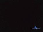 falconery cam4 livecam show performer room profile