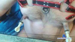 Hollybi cam4 live cam performer profile