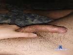 Libre4456 cam4 livecam show performer room profile