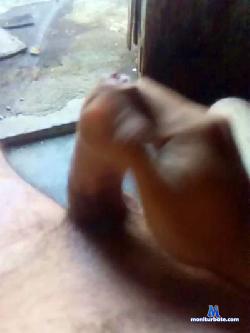 pollarica2020 cam4 live cam performer profile