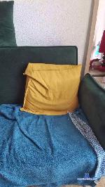 Zizanie_xx cam4 livecam show performer room profile