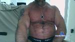 BigBuiltChi cam4 livecam show performer room profile