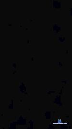 HornyInTO1 cam4 livecam show performer room profile