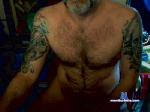 dsosnovskii cam4 livecam show performer room profile