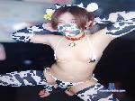 satouhaoisii3 cam4 livecam show performer room profile