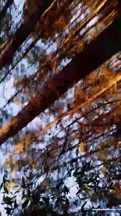 angeleyez1234 cam4 live cam performer profile