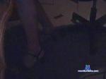 transmettable cam4 livecam show performer room profile