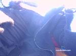 lilcdsissyslut cam4 livecam show performer room profile
