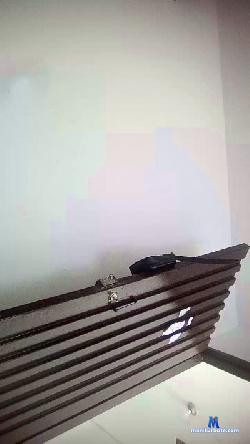 rogerlima2176 cam4 live cam performer profile