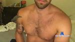 stmsaark cam4 livecam show performer room profile