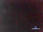 el_alvaro_2020 cam4 livecam show performer room profile