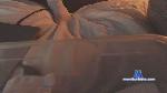 muscjock35 cam4 livecam show performer room profile