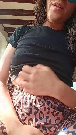 Piccolapic cam4 live cam performer profile