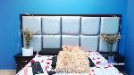 VenusSaha cam4 livecam show performer room profile
