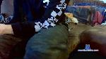 fred1349 cam4 livecam show performer room profile