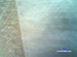 jauyjau48 cam4 livecam show performer room profile