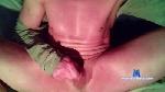 sommerwein3 cam4 livecam show performer room profile