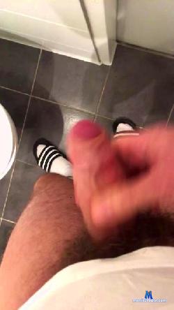 basso1 cam4 live cam performer profile