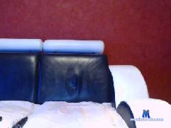 humanimal40 cam4 live cam performer profile
