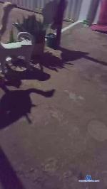 micarla6 cam4 livecam show performer room profile