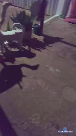 micarla6 cam4 live cam performer profile