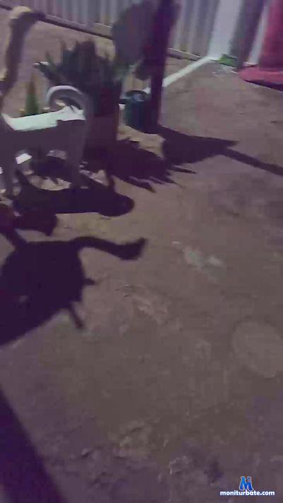 micarla6 cam4 unknown performer from Federative Republic of Brazil  