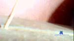 daniellugares cam4 livecam show performer room profile