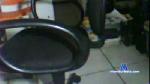 belarotomo cam4 livecam show performer room profile