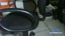 belarotomo cam4 live cam performer profile