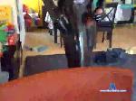 latex_cat cam4 livecam show performer room profile
