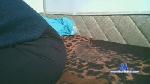 Kellykrude2 cam4 livecam show performer room profile