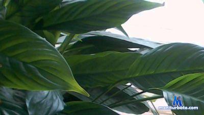 memelaidy69 cam4 bicurious performer from United States of America  