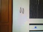 negogg cam4 livecam show performer room profile