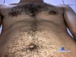gatinho_intsp cam4 livecam show performer room profile