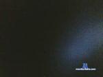 palodritto cam4 livecam show performer room profile