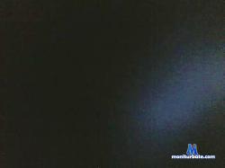 palodritto cam4 live cam performer profile