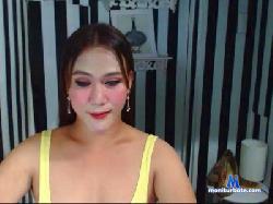 pajerotee cam4 live cam performer profile