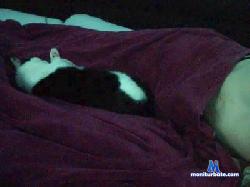 sikman cam4 live cam performer profile