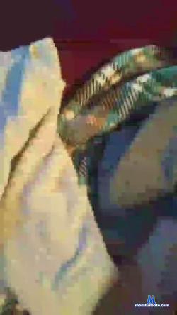salainat cam4 live cam performer profile