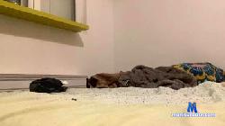 exhib573 cam4 live cam performer profile