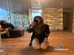 angelegray_hot cam4 livecam show performer room profile