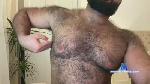 bearhairs cam4 livecam show performer room profile
