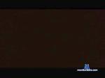 tiger391 cam4 livecam show performer room profile
