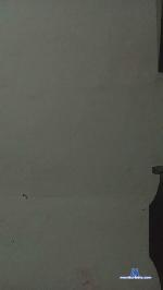 Ariannelissa cam4 livecam show performer room profile