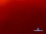 tantaroza cam4 livecam show performer room profile