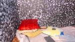 Argentino_458 cam4 livecam show performer room profile